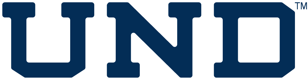 Notre Dame Fighting Irish 0-Pres Wordmark Logo t shirts iron on transfers v3